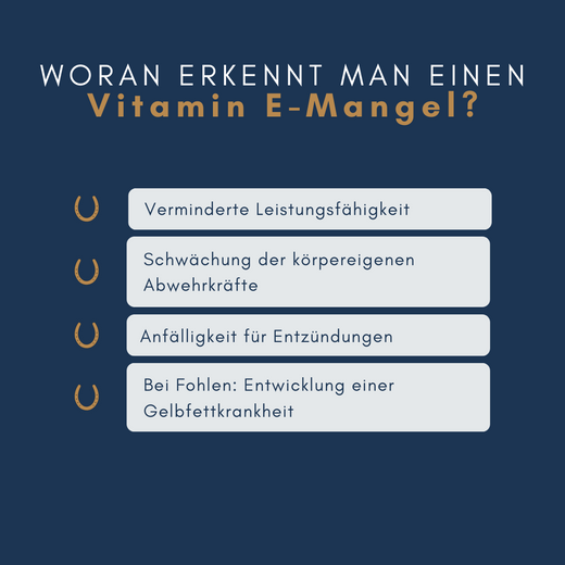 Navalis Orthosal Vitamin E Horse fürs Pferd Navalis Orthosal Vitamin E Horse fürs Pferd