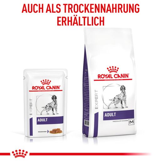 Royal Canin Dog Adult Feine Stückchen in Soße Frischebeutel für Hunde