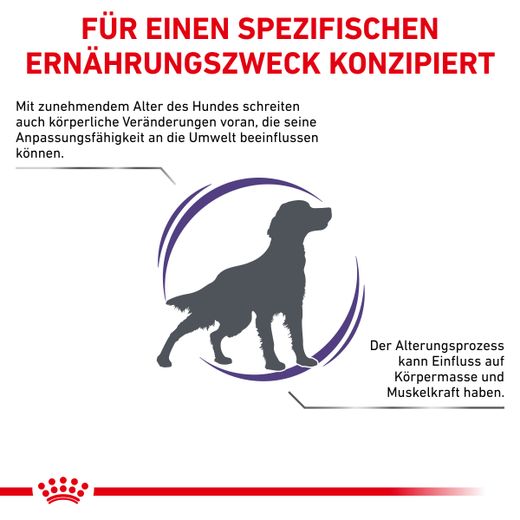 Royal Canin Mature Consult Medium Dogs Trockenfutter für Hunde Royal Canin Mature Consult Medium Dogs Trockenfutter für Hunde
