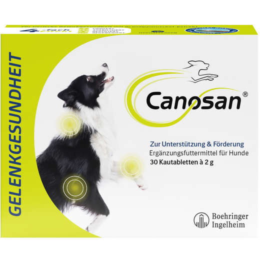 Canosan Hund mit Gonex von Boehringer Ingelheim Canosan Hund mit Gonex von Boehringer Ingelheim