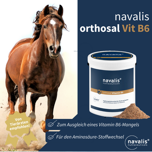 Navalis Orthosal Vitamin B6 Horse