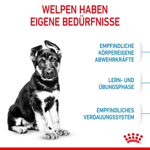 Royal Canin Maxi Puppy Trockenfutter für Welpen großer Rassen Royal Canin Maxi Puppy Trockenfutter für Welpen großer Rassen