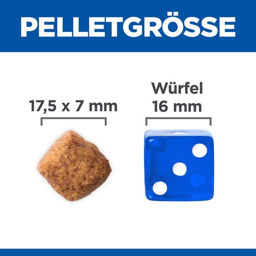 Hills Science Plan Canine Mature Adult 6+ Large Breed Hund Trockenfutter