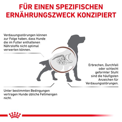 Royal Canin Gastrointestinal Low Fat Hundefutter in Dosen