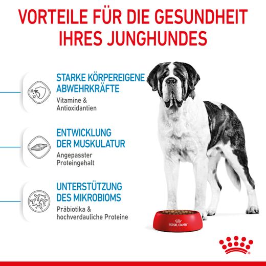Royal Canin Giant Junior Welpentrockenfutter für sehr große Hunde Royal Canin Giant Junior Welpentrockenfutter für sehr große Hunde