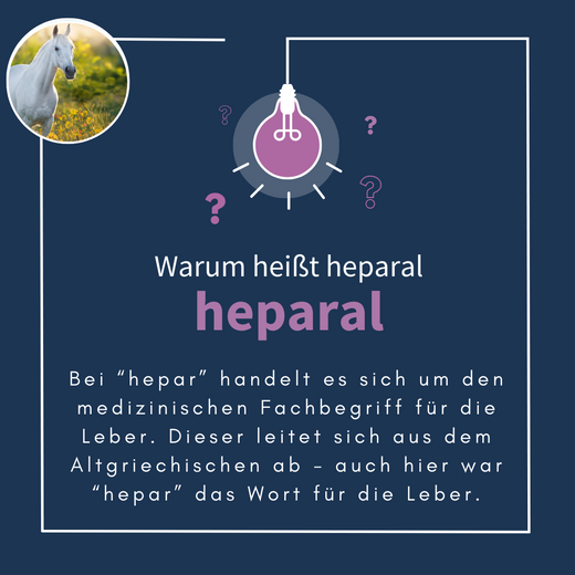 Navalis Heparal Horse fürs Pferd