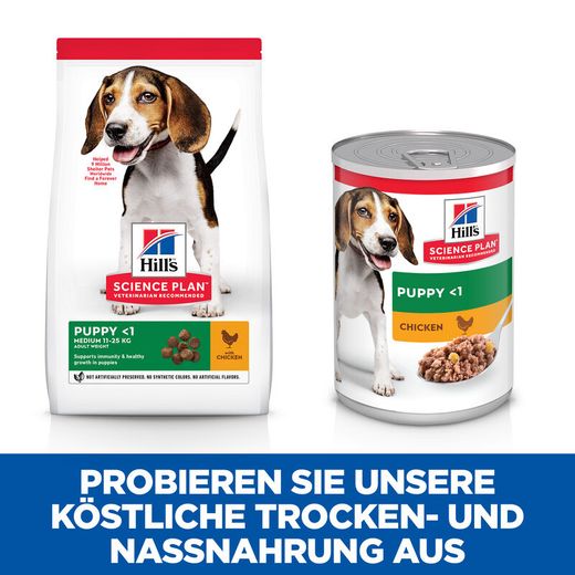 Hills Science Plan Hund Puppy Medium Trockenfutter