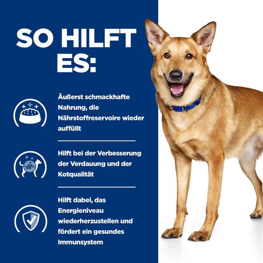 Hills i/d Ragout in Dosen für Hunde