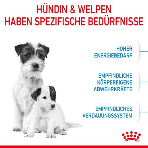 Royal Canin Mini Starter Trockenfutter Royal Canin Mini Starter Trockenfutter