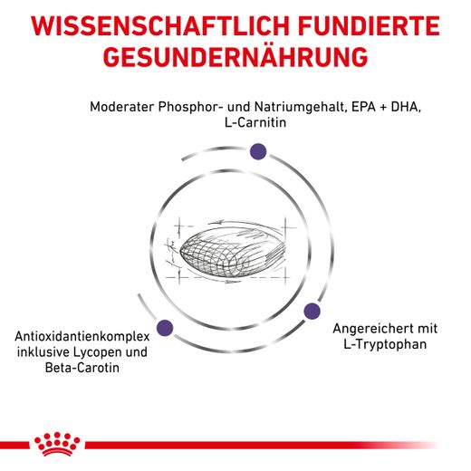 Royal Canin Mature Consult Small Dogs Trockenfutter für Hunde Royal Canin Mature Consult Small Dogs Trockenfutter für Hunde