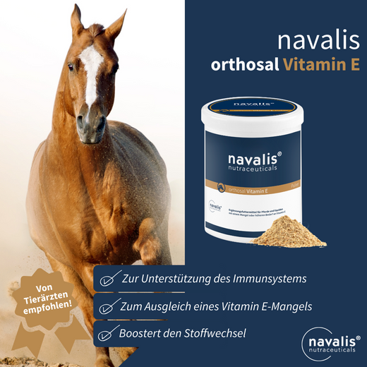 Navalis Orthosal Vitamin E Horse fürs Pferd