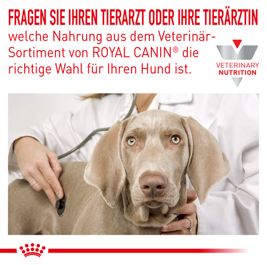 Royal Canin Hypoallergenic Moderate Calorie Trockenfutter für Hunde Royal Canin Hypoallergenic Moderate Calorie Trockenfutter für Hunde