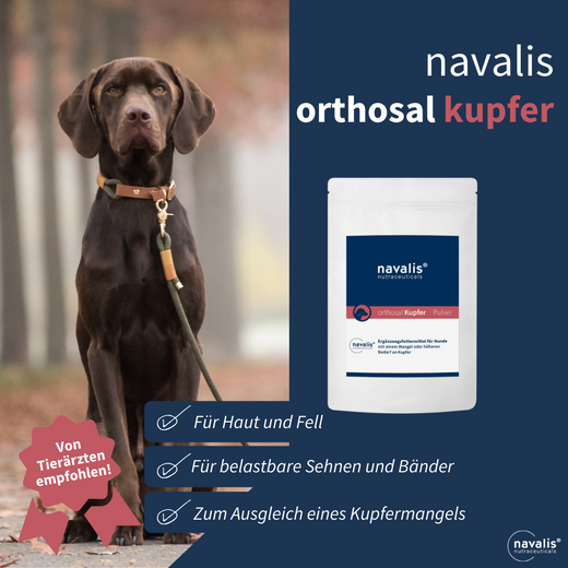 Navalis Orthosal Kupfer Dog Hund