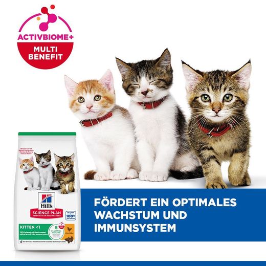 Hills Science Plan Kitten Trockenfutter mit Huhn