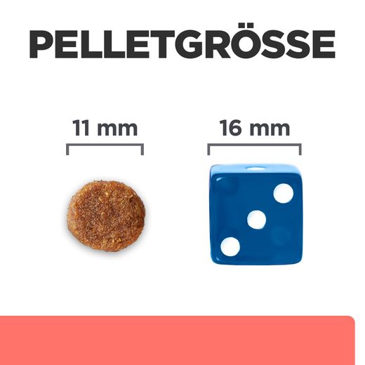 Hills ON-Care mit Huhn Trockenfutter für Hunde