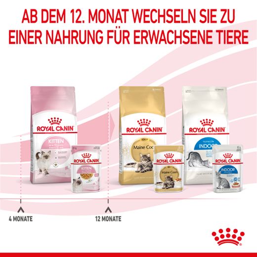 Royal Canin Kitten Frischebeutel mit Gelee Royal Canin Kitten Frischebeutel mit Gelee