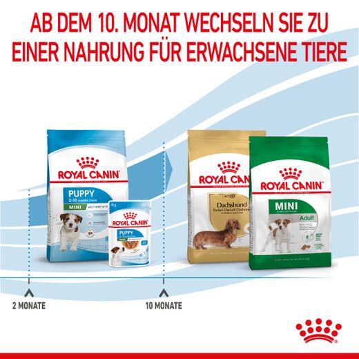 Royal Canin Mini Puppy Trockenfutter für Welpen kleiner Hunderassen