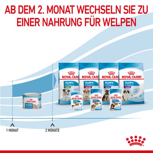 Royal Canin Starter Ultra Soft Mousse für Welpen