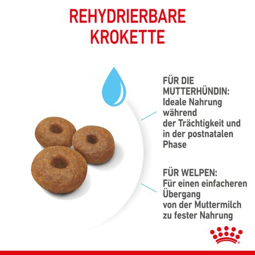 Royal Canin Maxi Starter Trockenfutter
