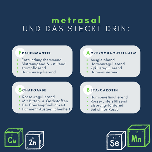 Navalis Metrasal Horse für Pferde