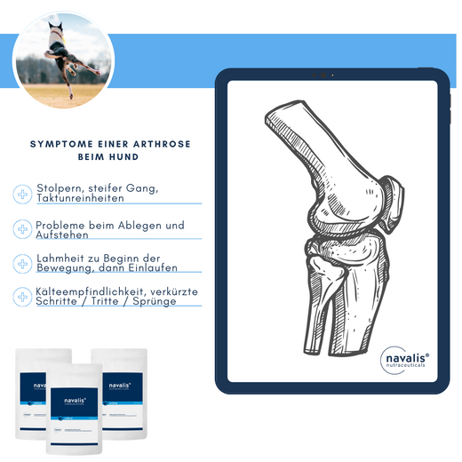 Navalis Arthral Dog für Hunde