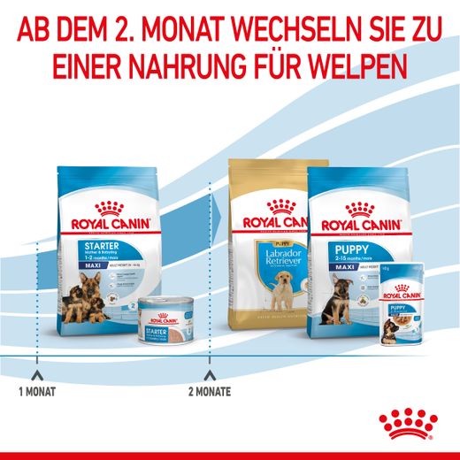 Royal Canin Maxi Starter Trockenfutter