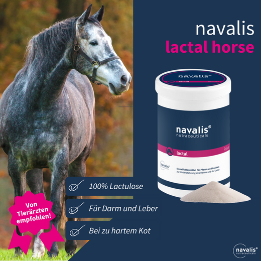 Navalis Lactal Horse Pulver für Pferde
