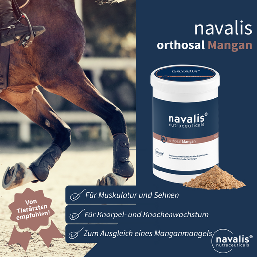 Navalis Orthosal Mangan Horse für Pferde