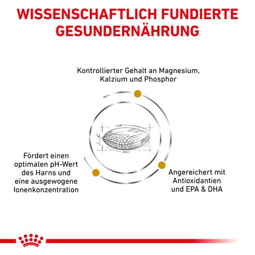 Royal Canin Urinary S/O Trockenfutter für Hunde