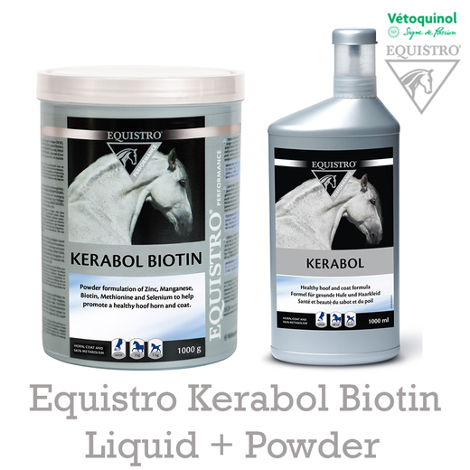 EQUISTRO Kerabol Biotin für Pferde