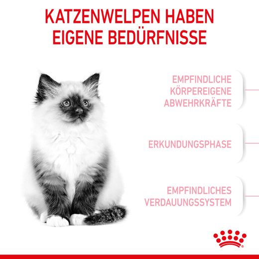 Royal Canin Kitten Trockenfutter