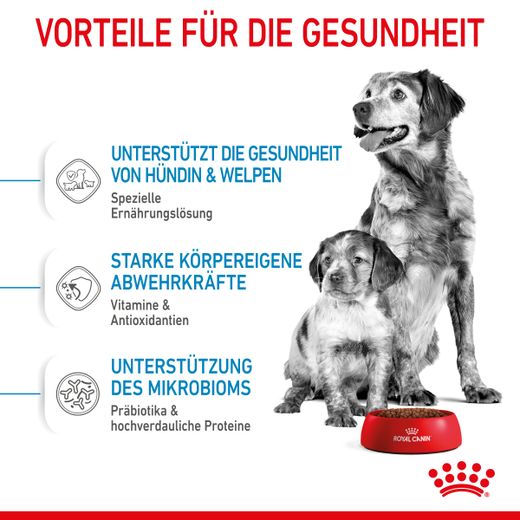 Royal Canin Medium Starter Trockenfutter Royal Canin Medium Starter Trockenfutter