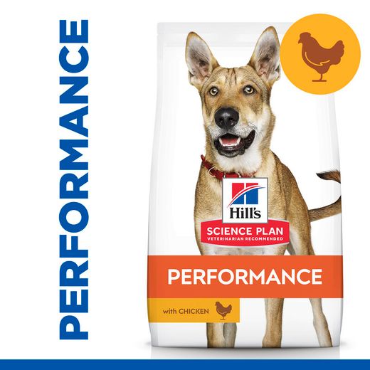 Hills Science Plan Canine Adult Performance Huhn Trockenfutter für Hunde