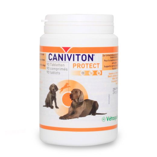 Vetoquinol Caniviton Protect Kautabletten