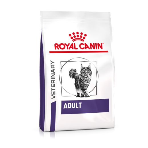 Royal Canin Adult Trockenfutter für Katzen