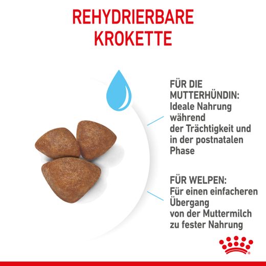 Royal Canin Mini Starter Trockenfutter Royal Canin Mini Starter Trockenfutter