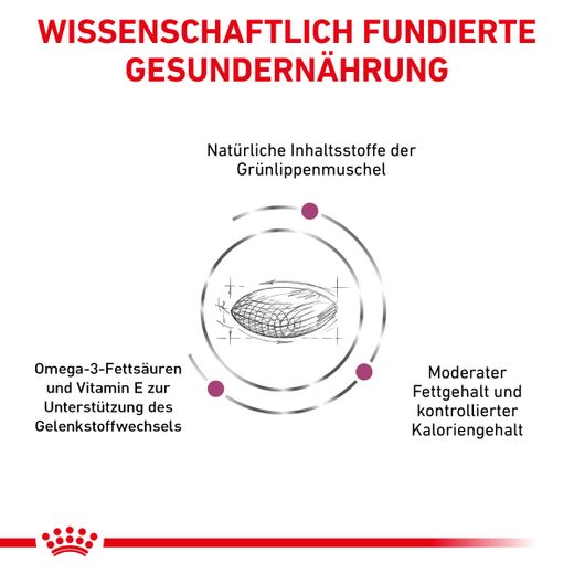 Royal Canin Mobility Support Trockenfutter für Hunde