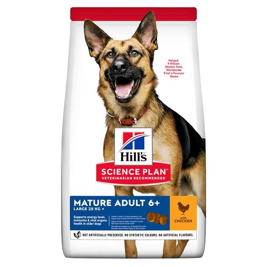 Hills Science Plan Canine Mature Adult 6+ Large Breed Hund Trockenfutter