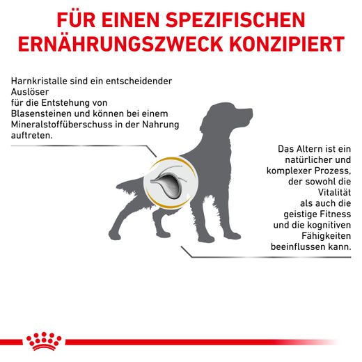 Royal Canin Urinary S/O AGEING 7+ Trockenfutter für Hunde Royal Canin Urinary S/O AGEING 7+ Trockenfutter für Hunde