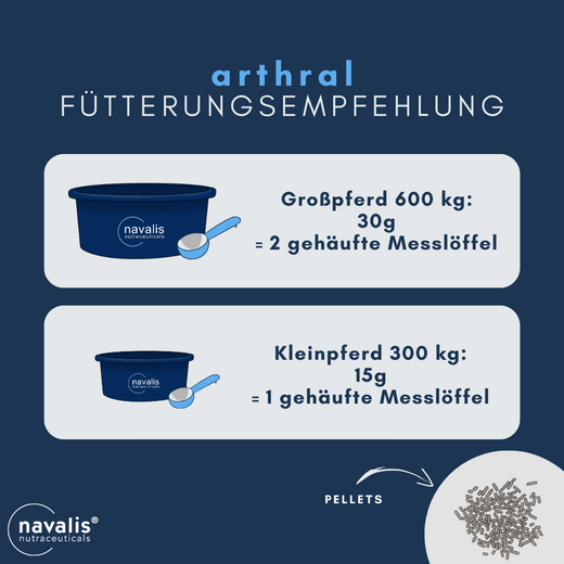 Navalis Arthral Horse für Pferde