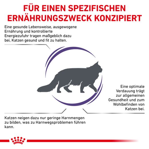 Royal Canin Adult Trockenfutter für Katzen Royal Canin Adult Trockenfutter für Katzen