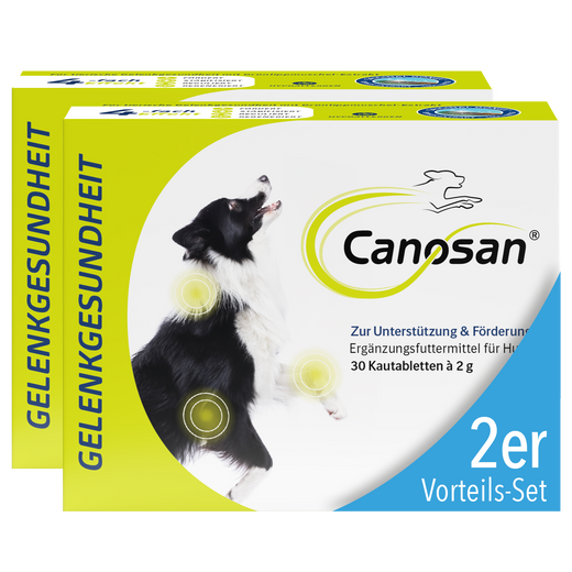 Canosan Hund mit Gonex von Boehringer Ingelheim Canosan Hund mit Gonex von Boehringer Ingelheim