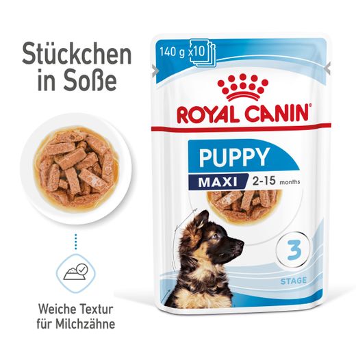 Royal Canin Maxi Puppy Frischebeutel in Soße
