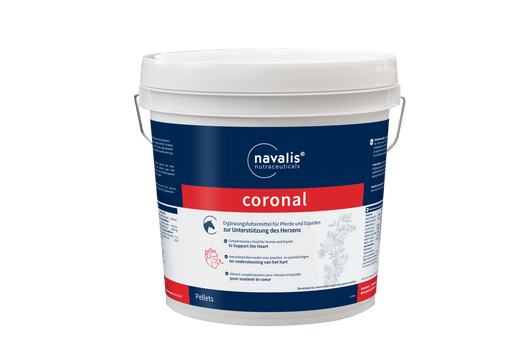 Navalis Coronal Horse