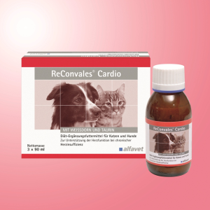 Alfavet ReConvales Cardio für Hunde und Katzen Alfavet ReConvales Cardio für Hunde und Katzen
