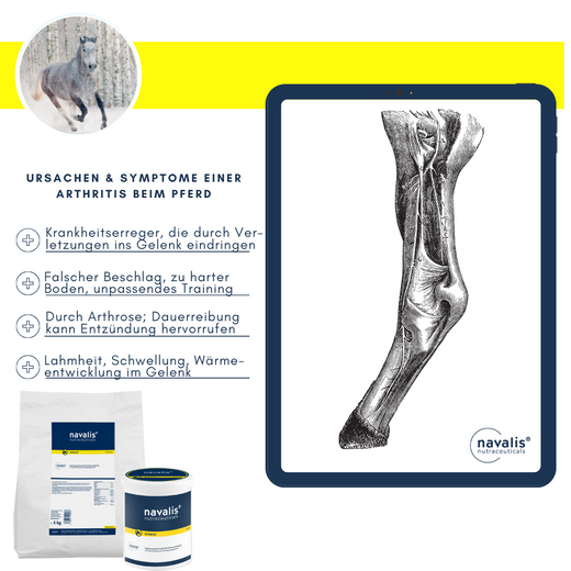 Navalis Doloral Horse fürs Pferd