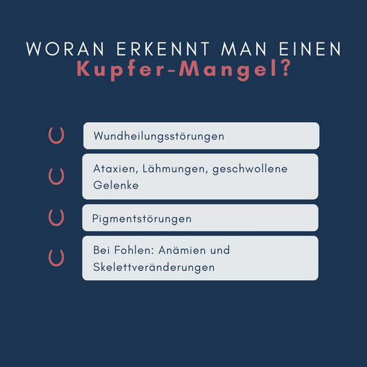 Navalis Orthosal Kupfer Horse für Pferde Navalis Orthosal Kupfer Horse für Pferde