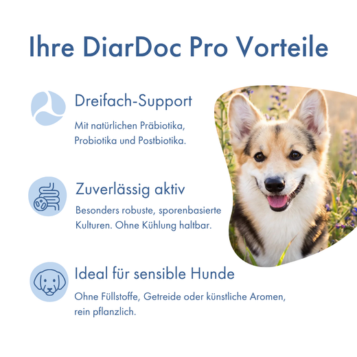 Dr. Hölter DiarDoc Pro - Probiotika für Hunde