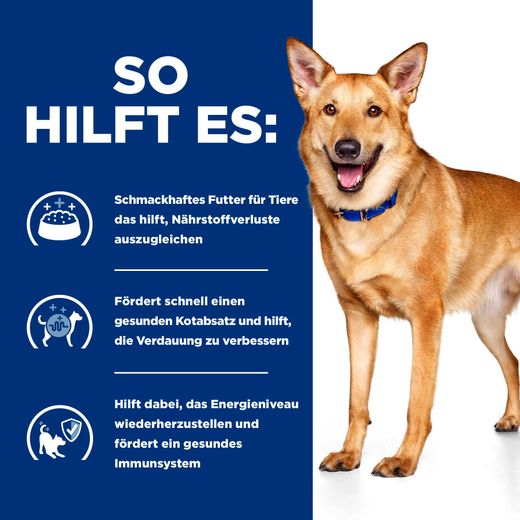 Hills i/d Trockenfutter für Hunde