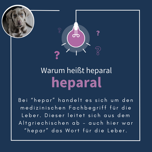 Navalis Heparal Dog für Hunde bei Lebererkrankungen Navalis Heparal Dog für Hunde bei Lebererkrankungen